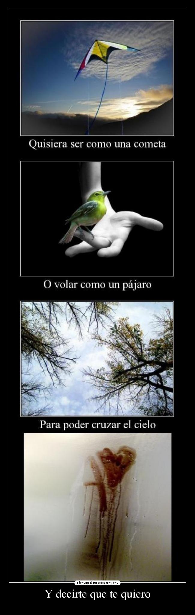 Y decirte que te quiero - 