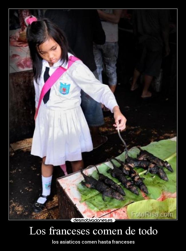 Los franceses comen de todo - los asiaticos comen hasta franceses