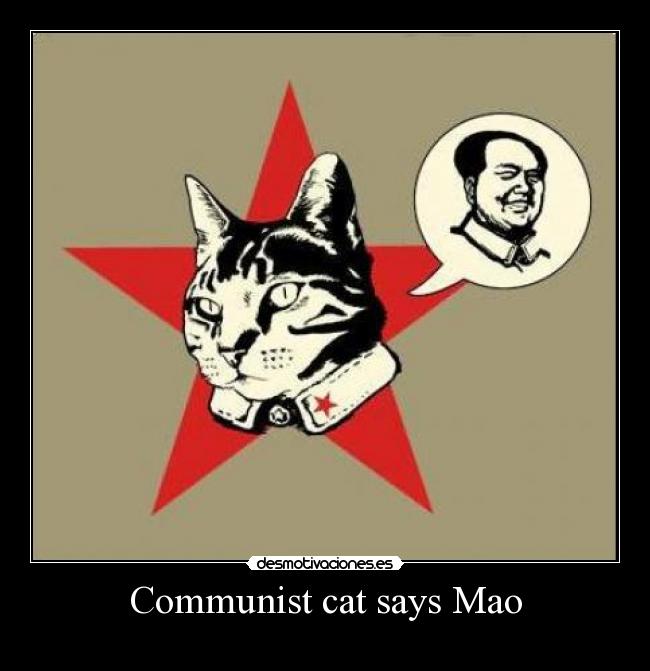 Communist cat says Mao - 