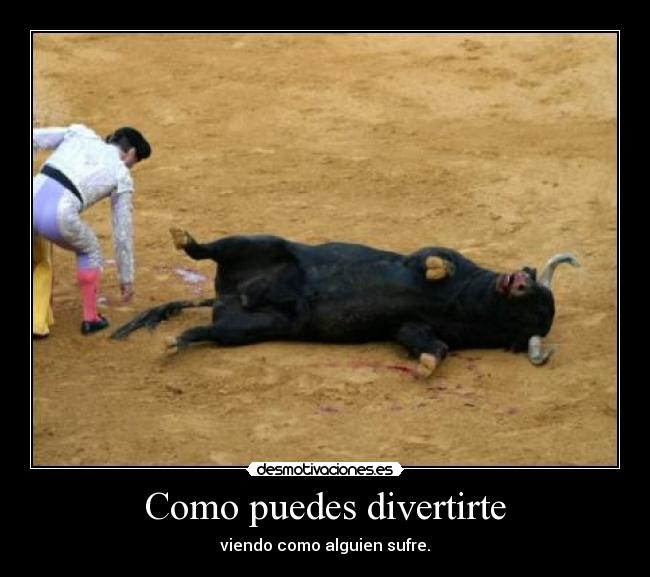 Como puedes divertirte -