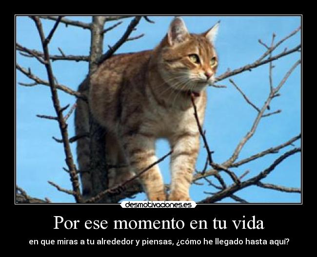 Por ese momento en tu vida - 