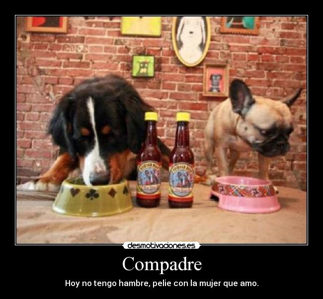 Compadre - 