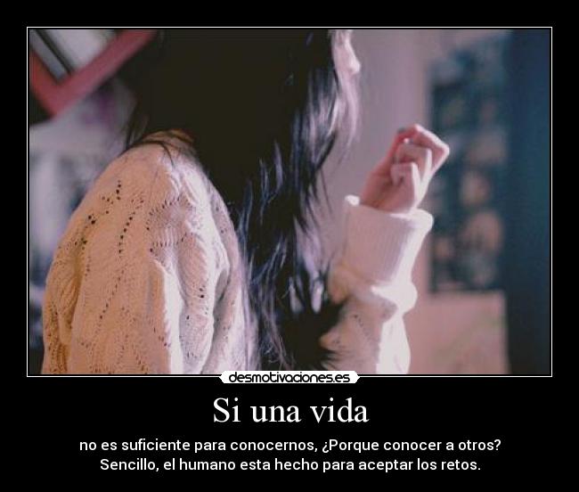 carteles vida vida humano retos myrniz desmotivaciones