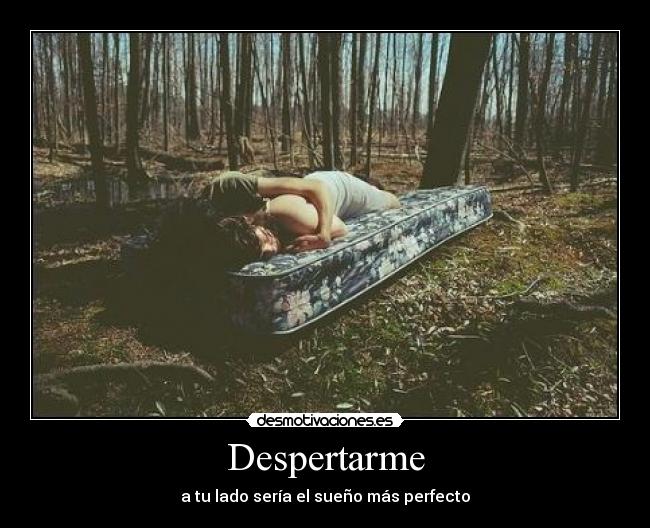 Despertarme - 
