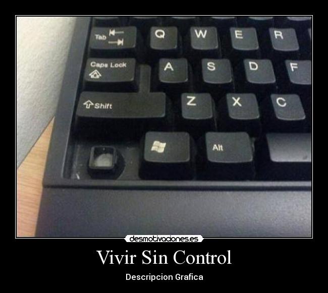 Vivir Sin Control - Descripcion Grafica