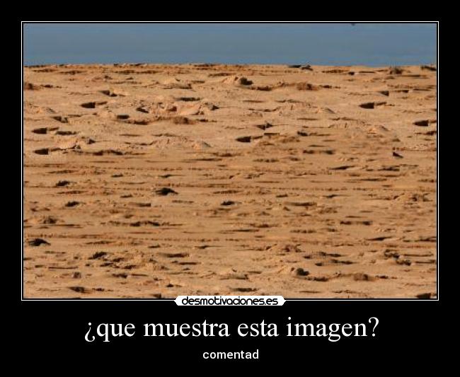¿que muestra esta imagen? - 