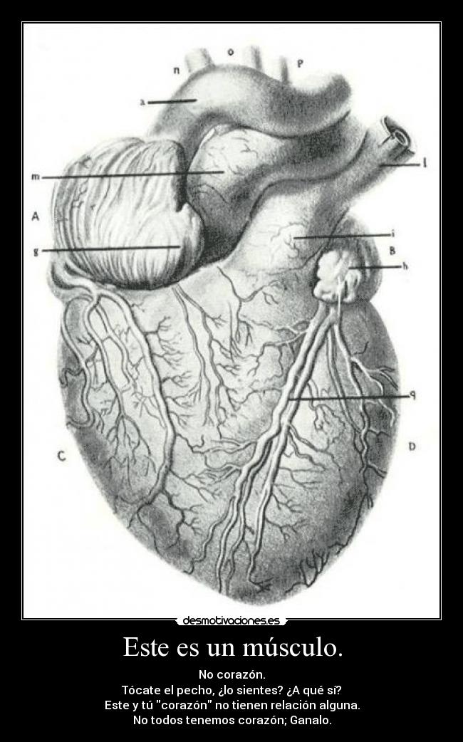Este es un músculo. - No corazón.
Tócate el pecho, ¿lo sientes? ¿A qué sí?
Este y tú corazón no tienen relación alguna.
No todos tenemos corazón; Ganalo.