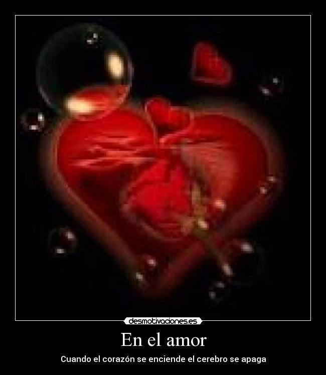 En el amor - Cuando el corazón se enciende el cerebro se apaga