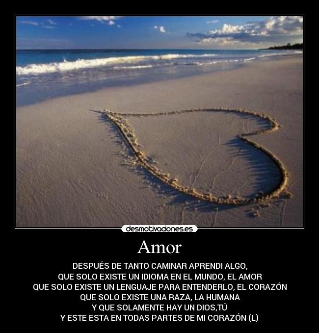 Amor - 