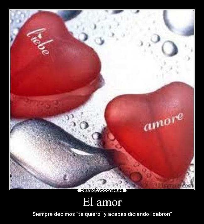 El amor - Siempre decimos te quiero y acabas diciendo cabron