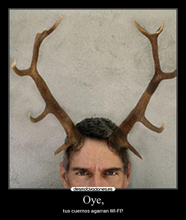 Oye, - tus cuernos agarran WI-FI?