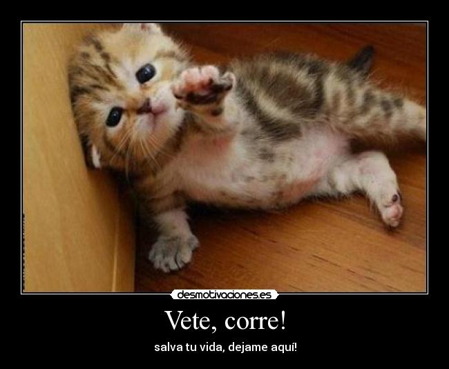Vete, corre! -