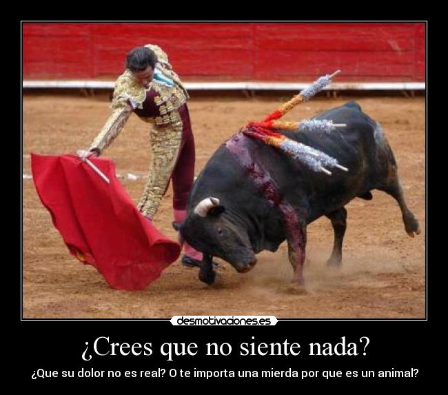 ¿Crees que no siente nada? - ¿Que su dolor no es real? O te importa una mierda por que es un animal?