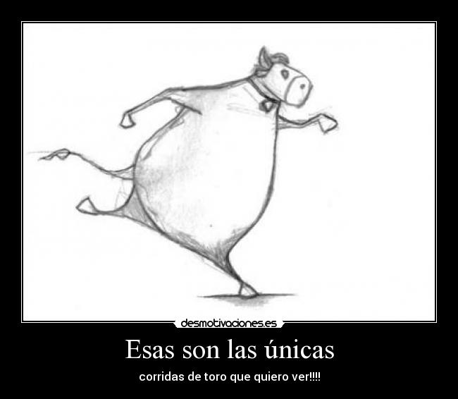 Esas son las únicas - corridas de toro que quiero ver!!!!