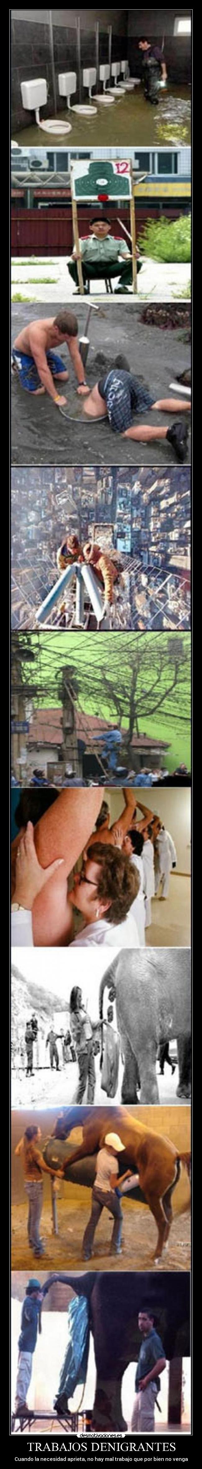 TRABAJOS DENIGRANTES - Cuando la necesidad aprieta, no hay mal trabajo que por bien no venga