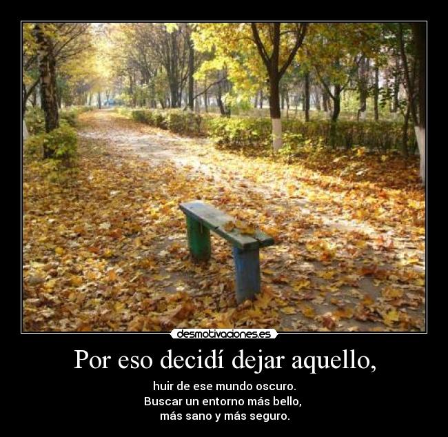 Por eso decidí dejar aquello, - 