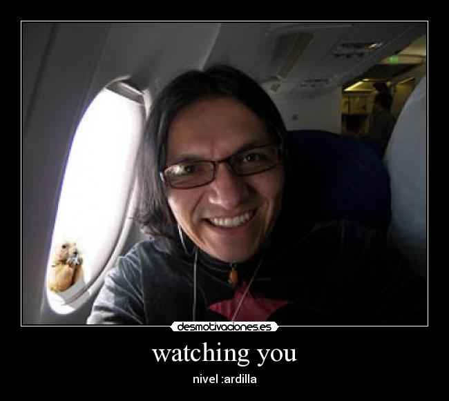 watching you - nivel :ardilla