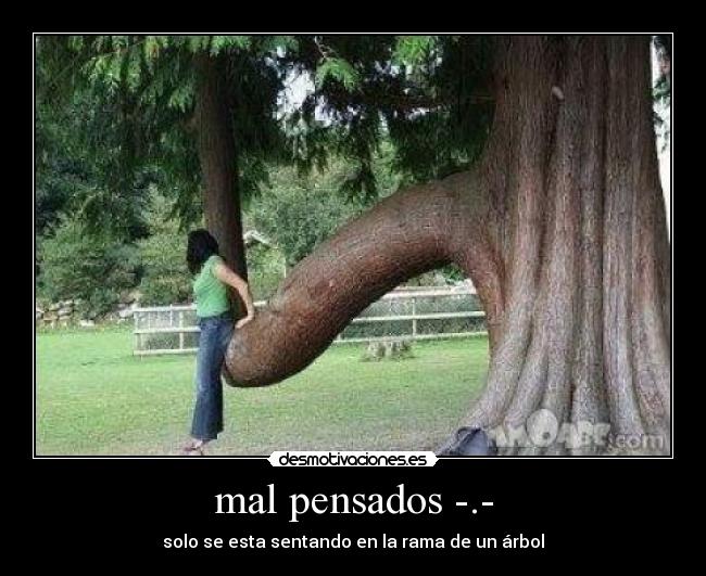 mal pensados -.- - solo se esta sentando en la rama de un árbol