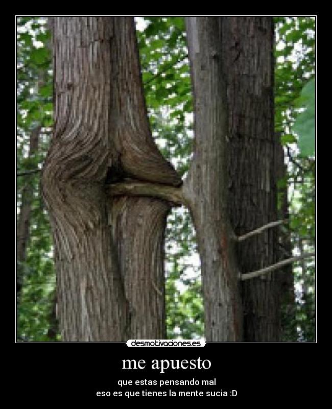 carteles cosas arboles desmotivaciones