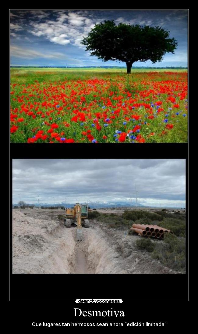 Desmotiva - Que lugares tan hermosos sean ahora edición limitada
