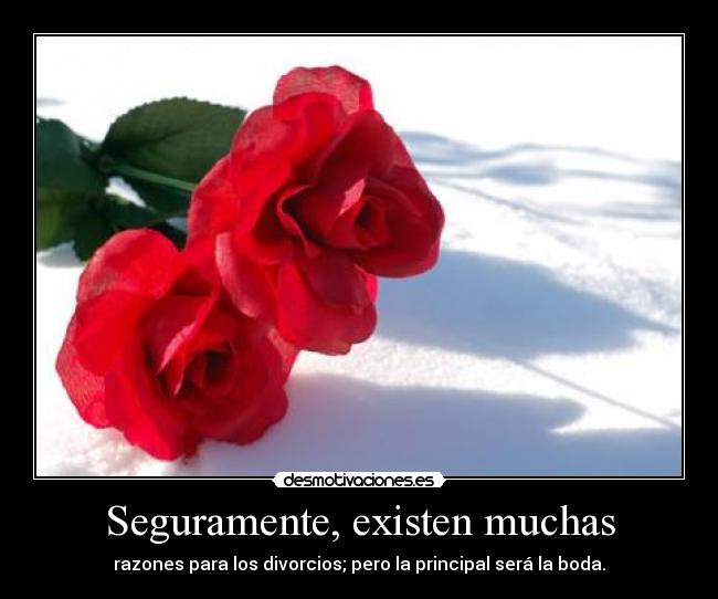 Seguramente, existen muchas - razones para los divorcios; pero la principal será la boda.