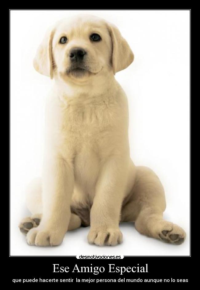 Ese Amigo Especial - que puede hacerte sentir la mejor persona del mundo aunque no lo seas