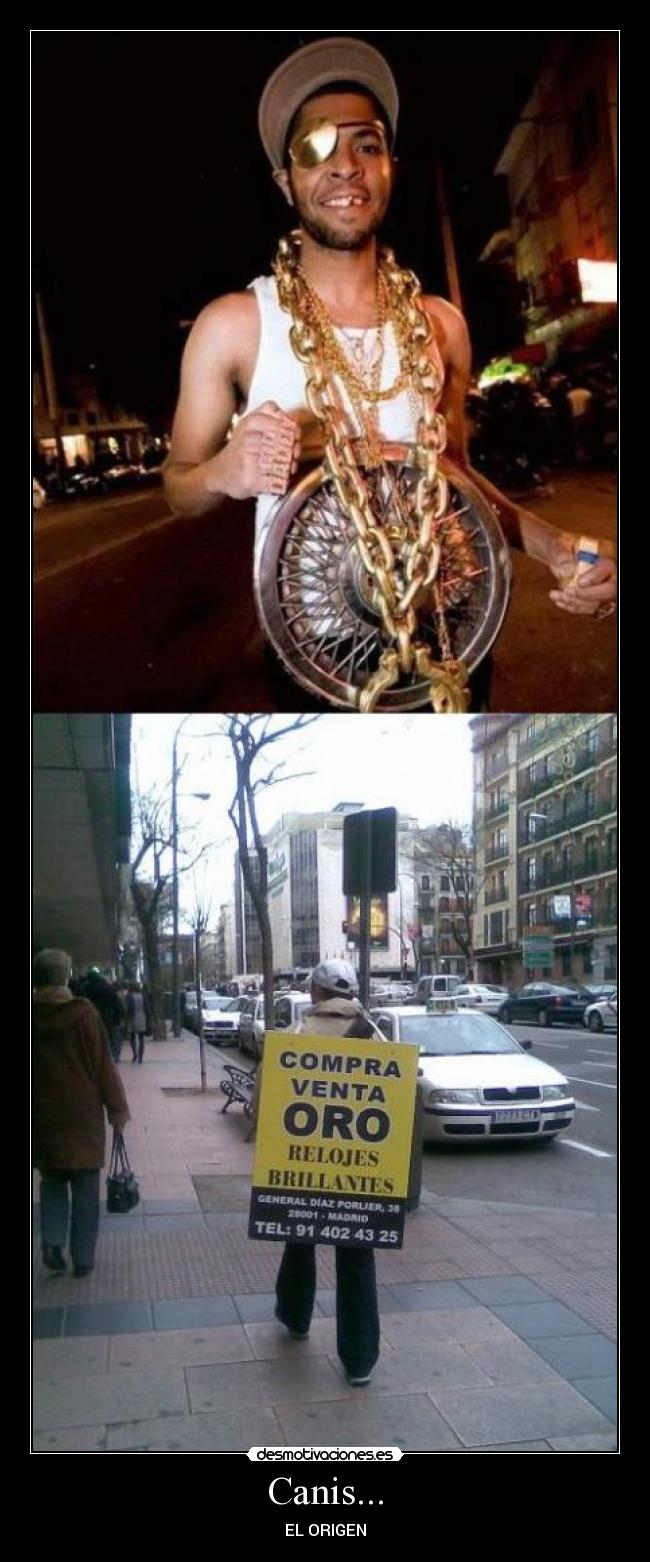 Canis... - EL ORIGEN