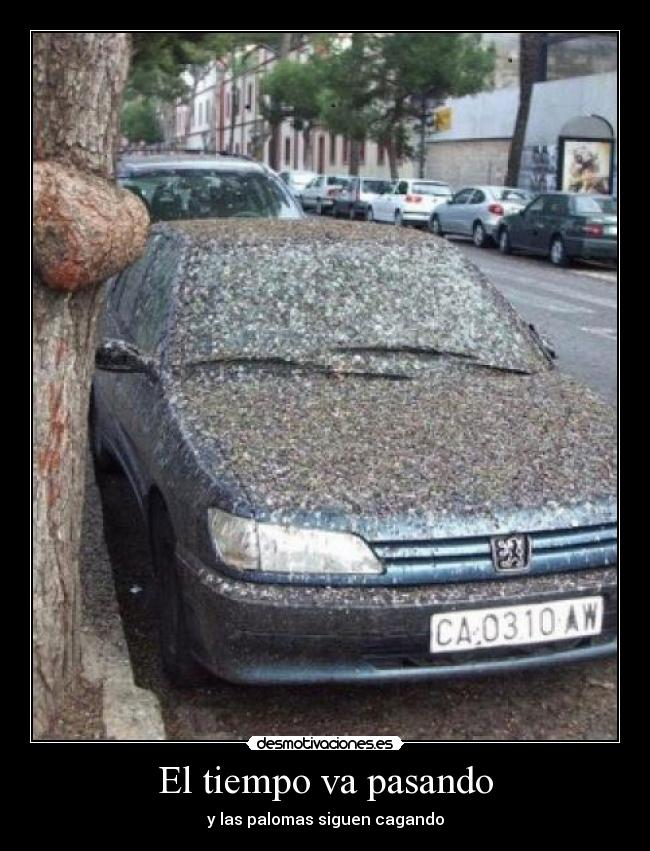 El tiempo va pasando - y las palomas siguen cagando