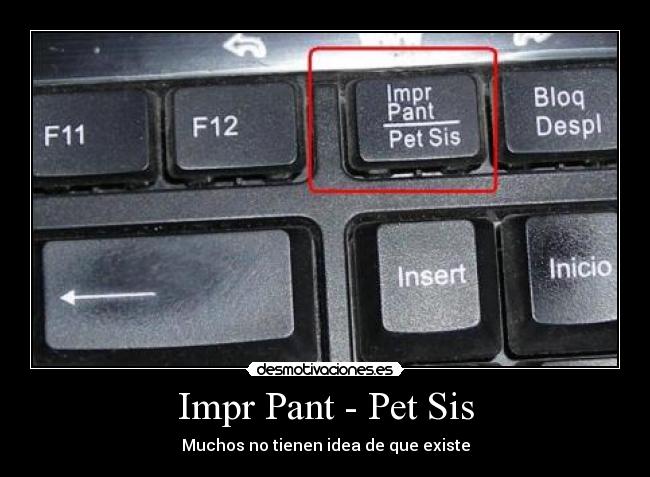 Impr Pant - Pet Sis -