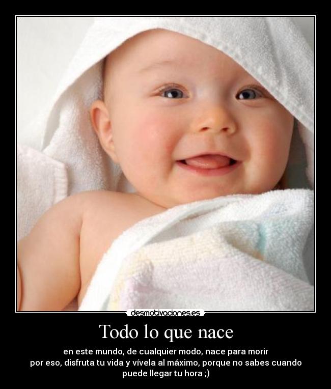 Todo lo que nace -