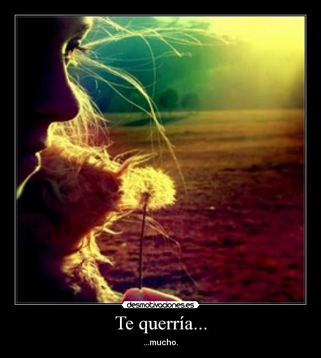 Te querría... - ...mucho.