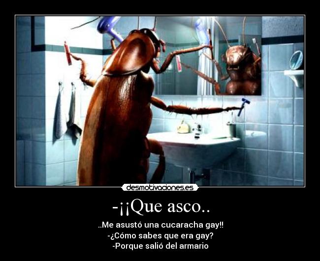 -¡¡Que asco.. - ..Me asustó una cucaracha gay!!
-¿Cómo sabes que era gay?
-Porque salió del armario