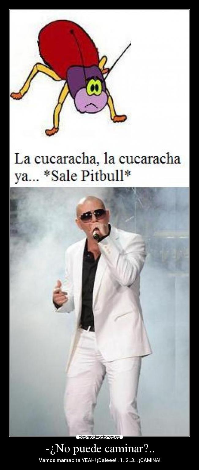 -¿No puede caminar?.. - Vamos mamacita YEAH! ¡Daleee!.. 1..2..3... ¡CAMINA!