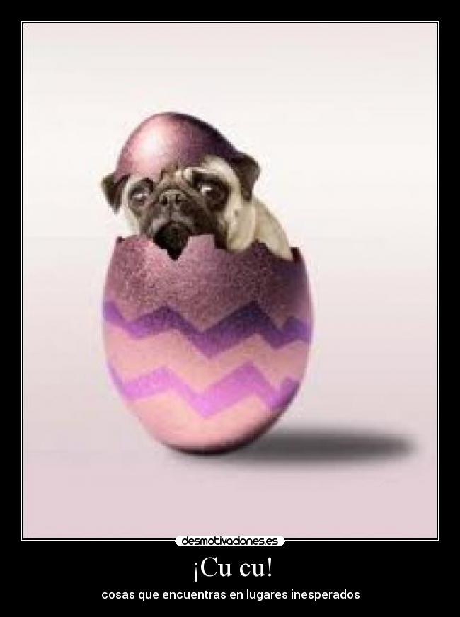 ¡Cu cu! - cosas que encuentras en lugares inesperados