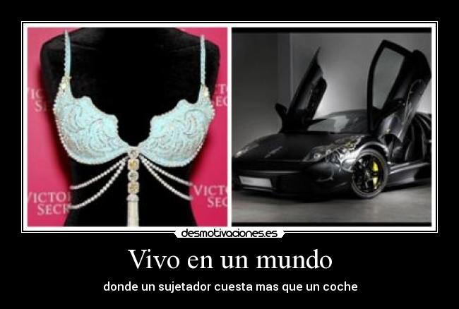 Vivo en un mundo - donde un sujetador cuesta mas que un coche