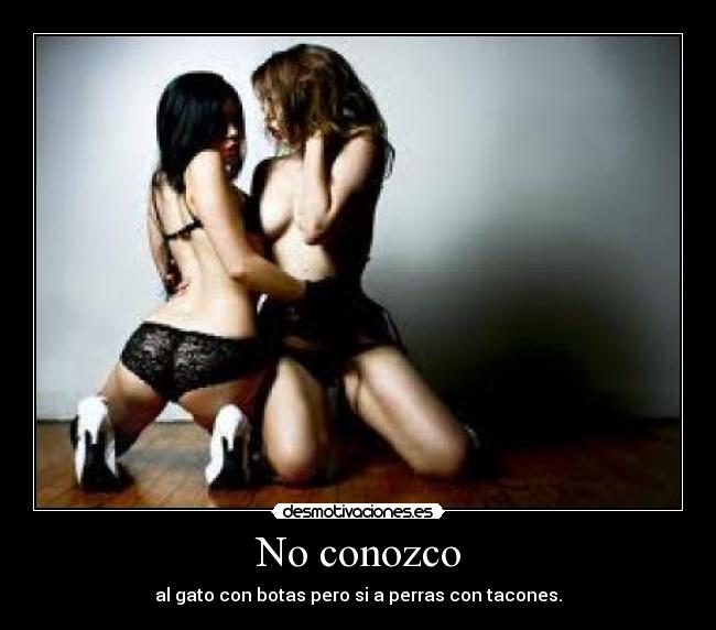 No conozco - al gato con botas pero si a perras con tacones.