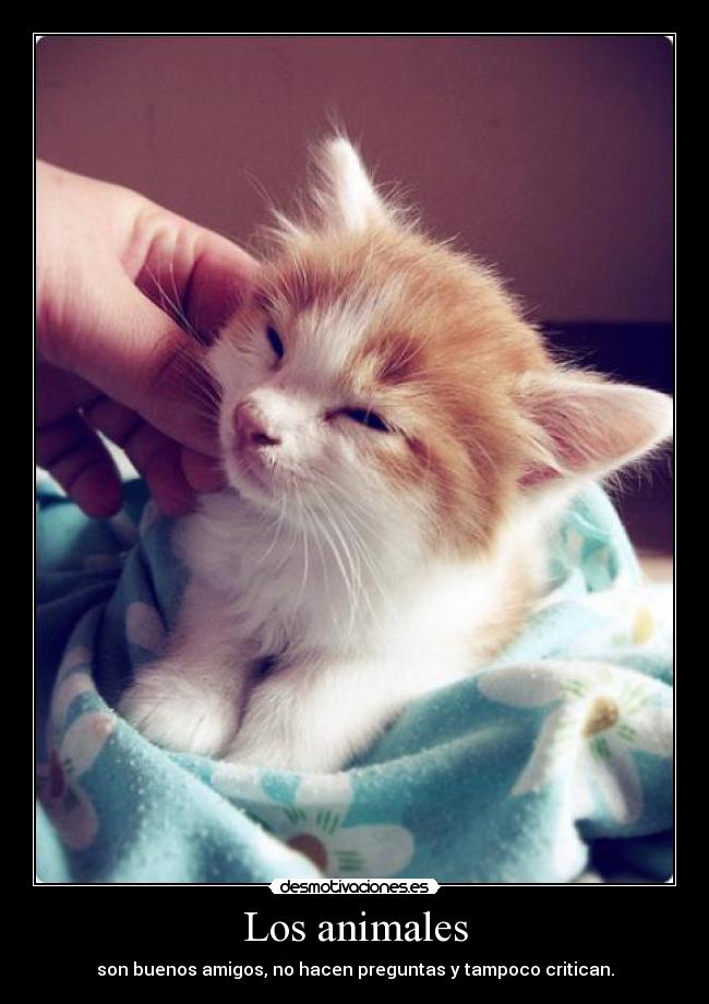 Los animales -