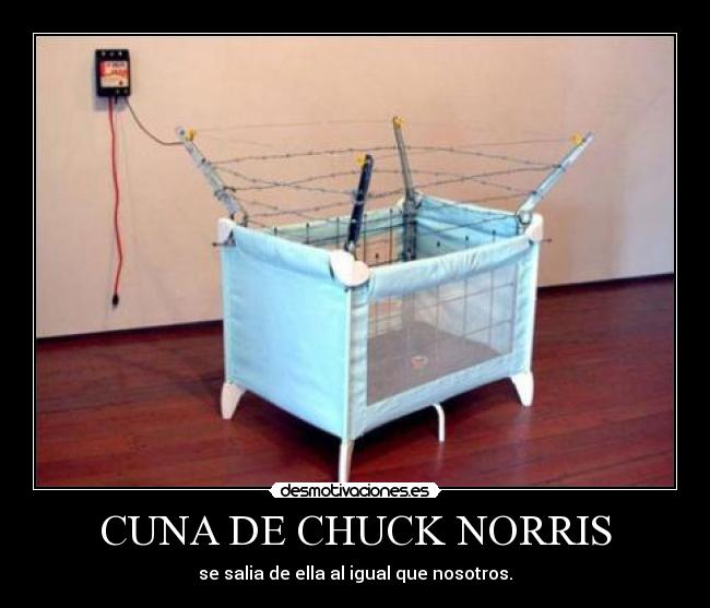 CUNA DE CHUCK NORRIS -