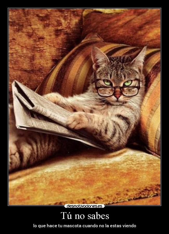 Tú no sabes -