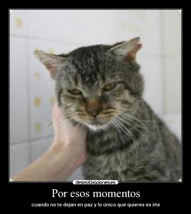 Por esos momentos - cuando no te dejan en paz y lo único que quieres es irte