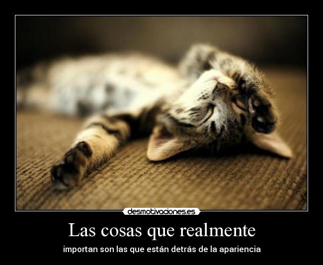 Las cosas que realmente - importan son las que están detrás de la apariencia