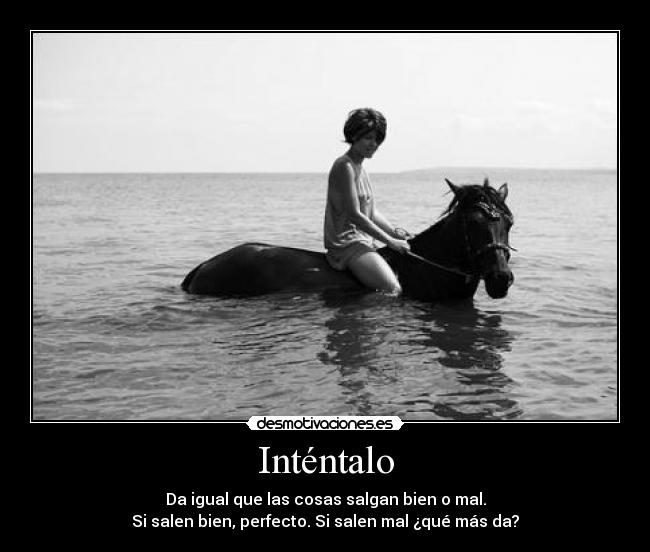 carteles cuando hice este cartel locaaa4e xdd conecto msn hace ilu decirlo gegegege desmotivaciones