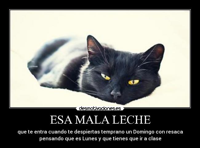 ESA MALA LECHE - 