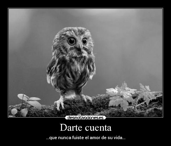 carteles dreadk pobre lechuza desmotivaciones