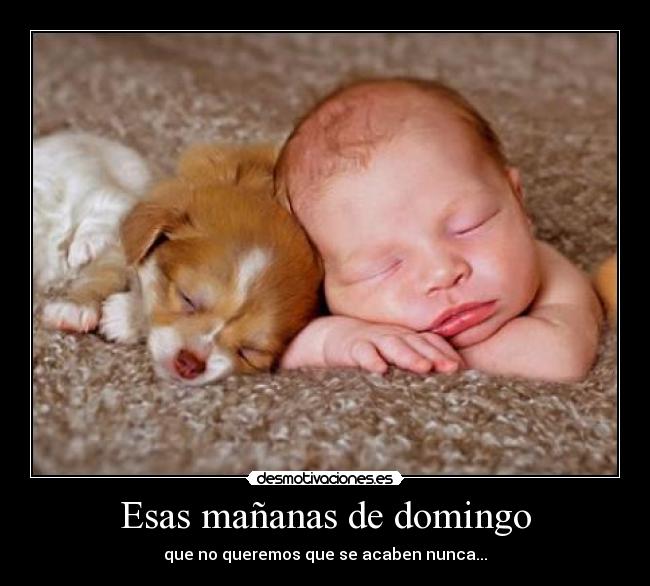 carteles dormiiiir dulce placer los dioses desmotivaciones