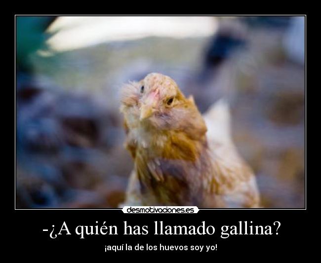 -¿A quién has llamado gallina? - ¡aquí la de los huevos soy yo!