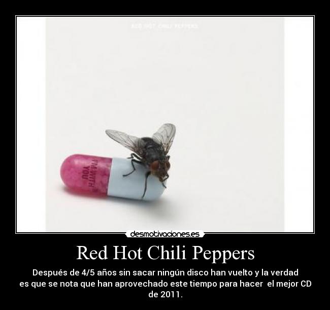 Red Hot Chili Peppers -