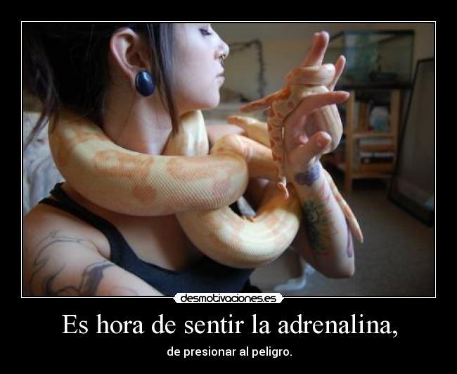 Es hora de sentir la adrenalina, - de presionar al peligro.