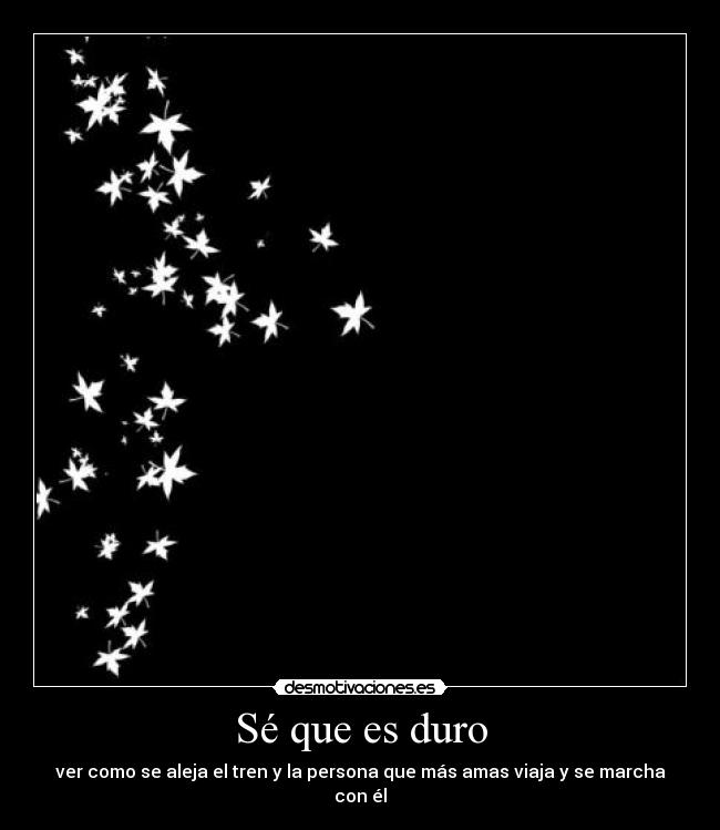 Sé que es duro - ver como se aleja el tren y la persona que más amas viaja y se marcha con él