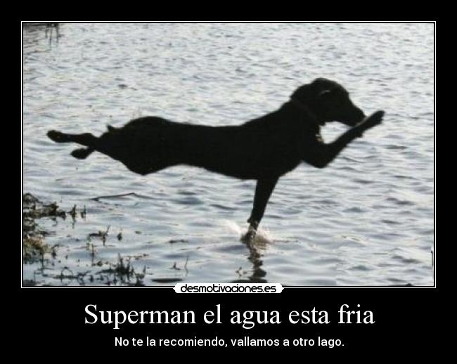 Superman el agua esta fria - No te la recomiendo, vallamos a otro lago.